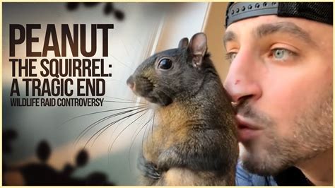 Goodbye Peanut.. RIP .